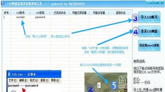 115網(wǎng)盤簽到及容量查詢工具 v1.1 提升網(wǎng)盤管理效率的必備助手